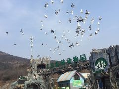 -大连森林动物园