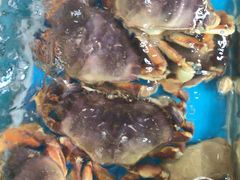 -七宝蔬菜农副产品综合交易市场-停车场