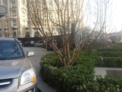 外景-北京丽晶酒店