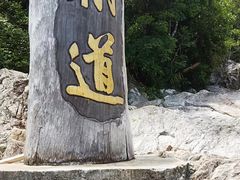 -海南霸王岭国家森林公园