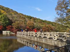 -龙道沟景区