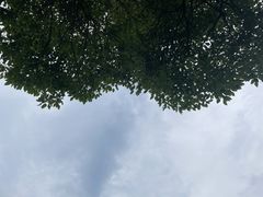 -瑶湖郊野森林公园