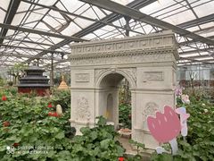 -南宫五洲植物乐园