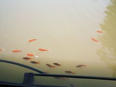 -陶祖圣境风景区