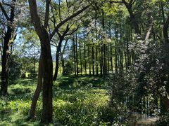 -杭州植物园