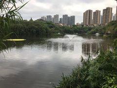 -重庆彩云湖湿地公园