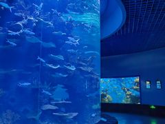 -多彩贵州城极地海洋世界