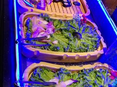 -鑫海汇自助烧烤(凯德广场学府店)