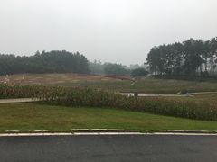 -保利石象湖景区