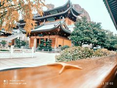 -上海东林寺(金山区)