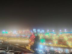 -枇杷园食为鲜火锅(南山店)