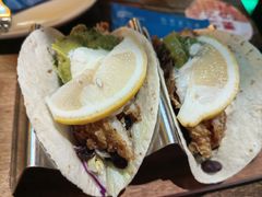 -Famous肥猫墨西哥音乐餐吧(五棵松华熙LIVE店)