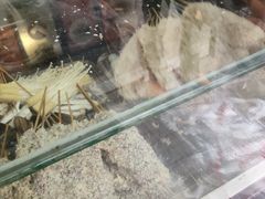 -辽B·小串(总店)