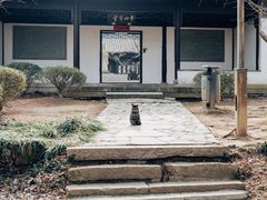 -白马涧龙池景区
