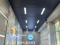 -盒马鲜生(红莲店)