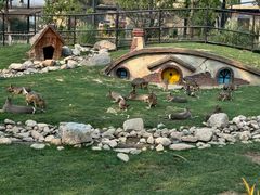 -祥源·阜阳生态乐园