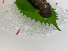 -觀芷隐轩