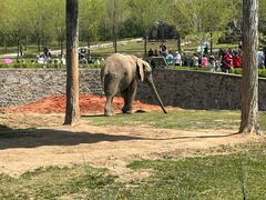 -哈尔滨北方森林动物园