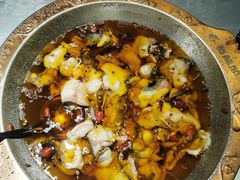 -雲蜀龙阁·金牌水煮鱼(方庄店)