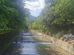 -广州白江湖森林公园