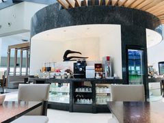 -虹桥机场国航贵宾室v8