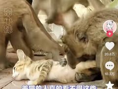 -昆明动物园