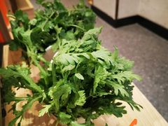 茼蒿-旺龙巷重庆脆毛肚火锅·潜山扛把子店(潜山商业街店)