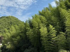 -将军关探险漂流