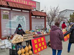 -赵州桥景区