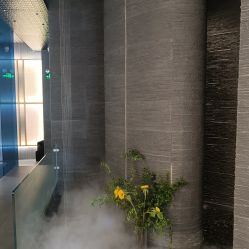 点击看大图 -美壹生皮肤管理中心