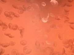 -沈阳海洋探索中心