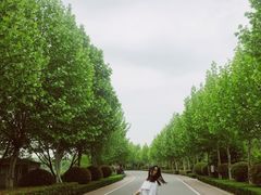 -济宁市太白湖旅游景区