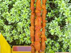 -味子夫鸡柳(解放碑总店)