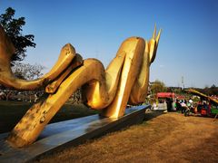 -两河城市森林公园