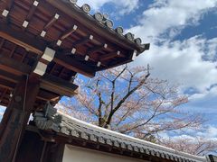 -醍醐寺