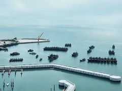 -南澳岛打卡果汁冰公司