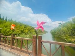 -黄海国家森林公园