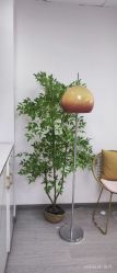 -变美丽半永久纹眉连锁·机器野生眉·洗眉