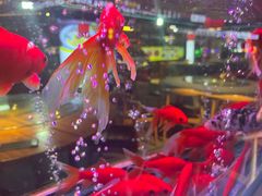 -阿呆·乡野大排档·乡野土菜·海鲜·夜宵