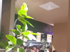 -丝恋丝娃娃(逸天城国贸店)