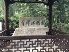 -镇江市南山风景名胜区竹林景区