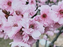 -半天妖烤鱼(芝罘万达店)