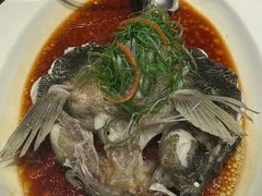 -圆苑(静安寺店)