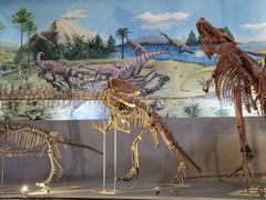 -西峡恐龙遗迹园