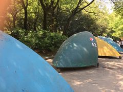 餐饮设施-上海共青森林公园