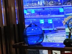 -青蓬蒸汽海鲜·深圳老字号·团建聚会(壹方城店)