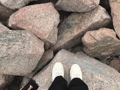 -深圳湾公园(南山区)