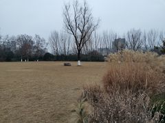 -宝鸡植物园