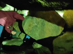 -嵖岈山风景区