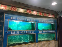 水产区-金龙渔港(双楠店)